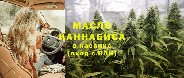 стаф Богородск