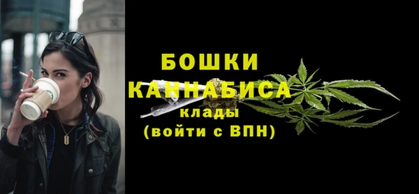стаф Богородск