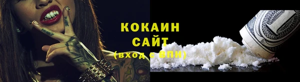 стаф Богородск