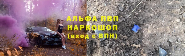 стаф Богородск