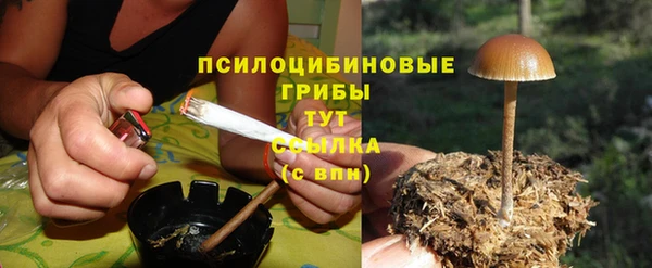 героин Богданович
