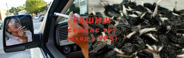 героин Богданович