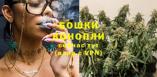 героин Богданович