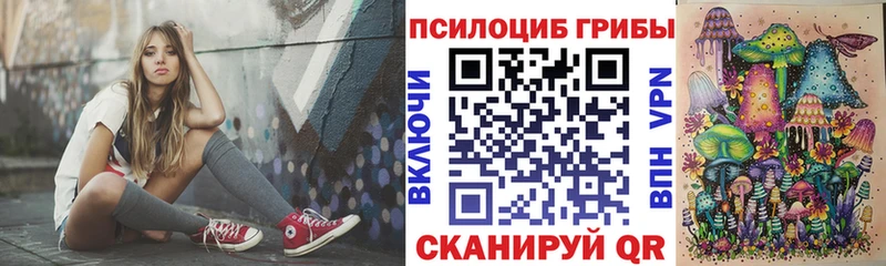 omg маркетплейс  Берёзовка  Псилоцибиновые грибы Psilocybine cubensis 