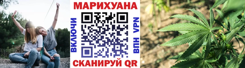Конопля планчик Берёзовка