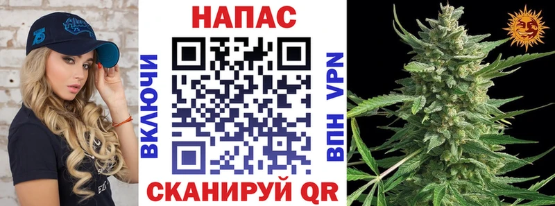 как найти закладки  Берёзовка  Бошки марихуана сатива 